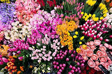 可爱俯视角射击游戏《AK蝾螈大作战》发售宣传片